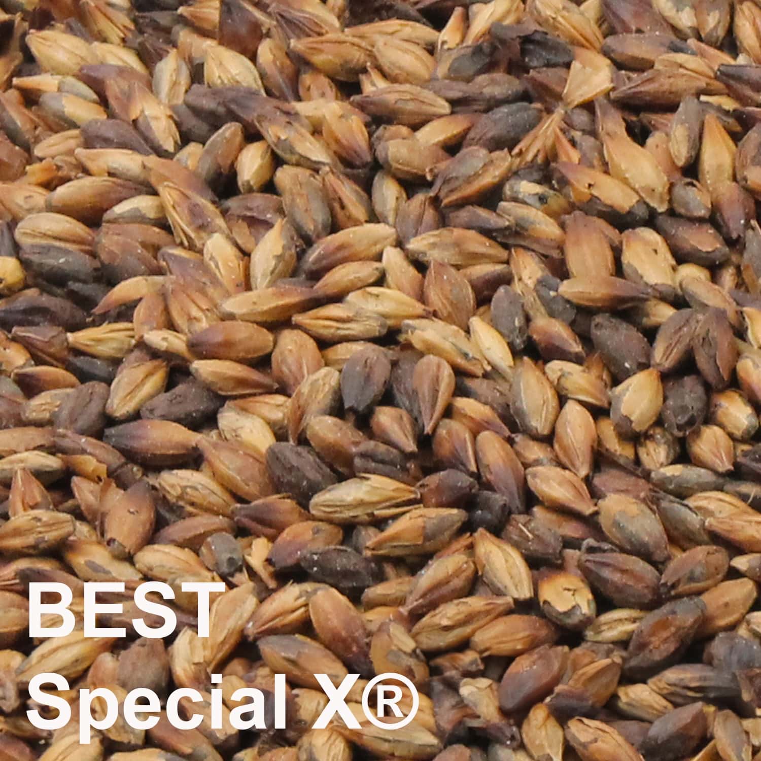 BEST Special X® Malz ungeschrotet_1