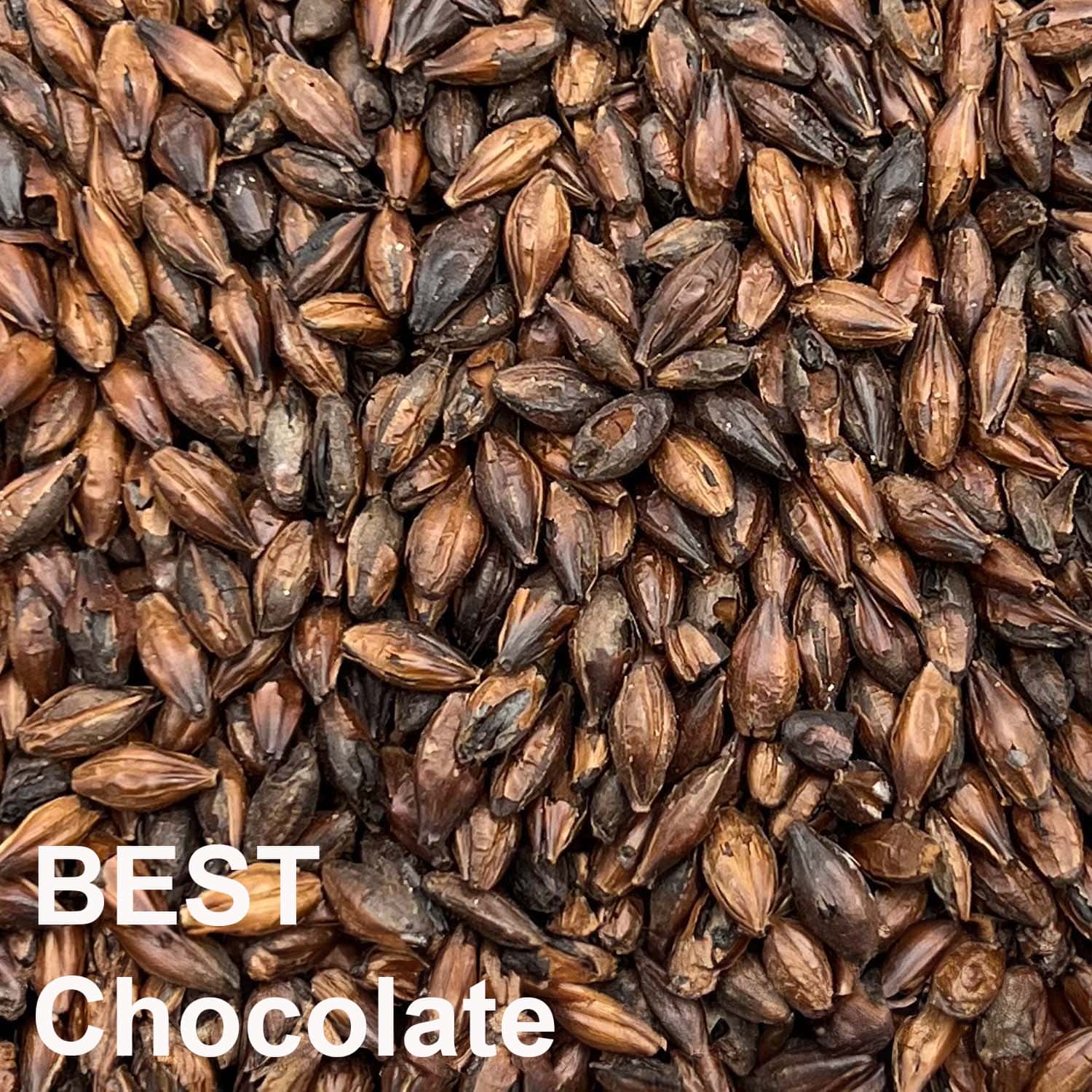 BEST Chocolate Malz ungeschrotet