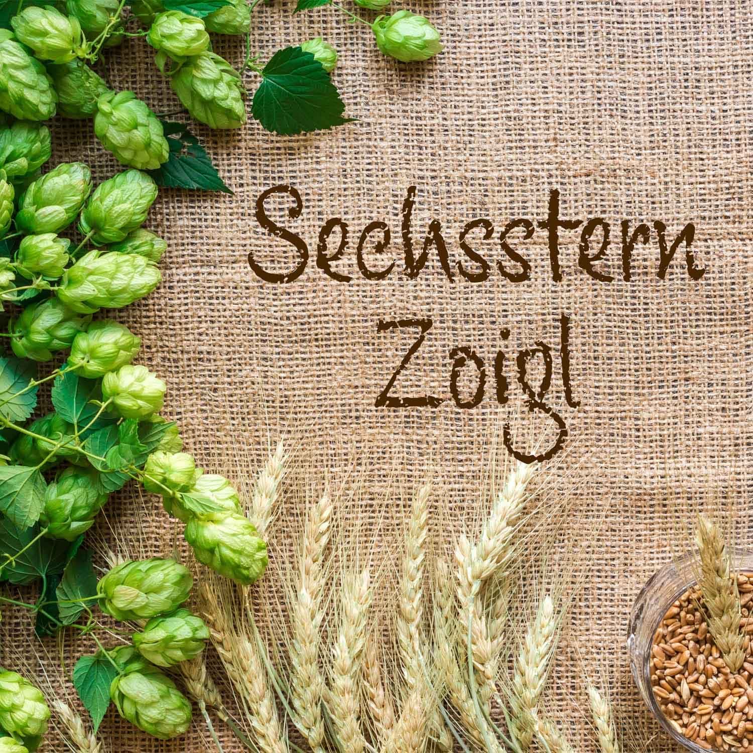 Fertigmischung SECHSSTERN ZOIGL 50 Liter, geschrotet_1