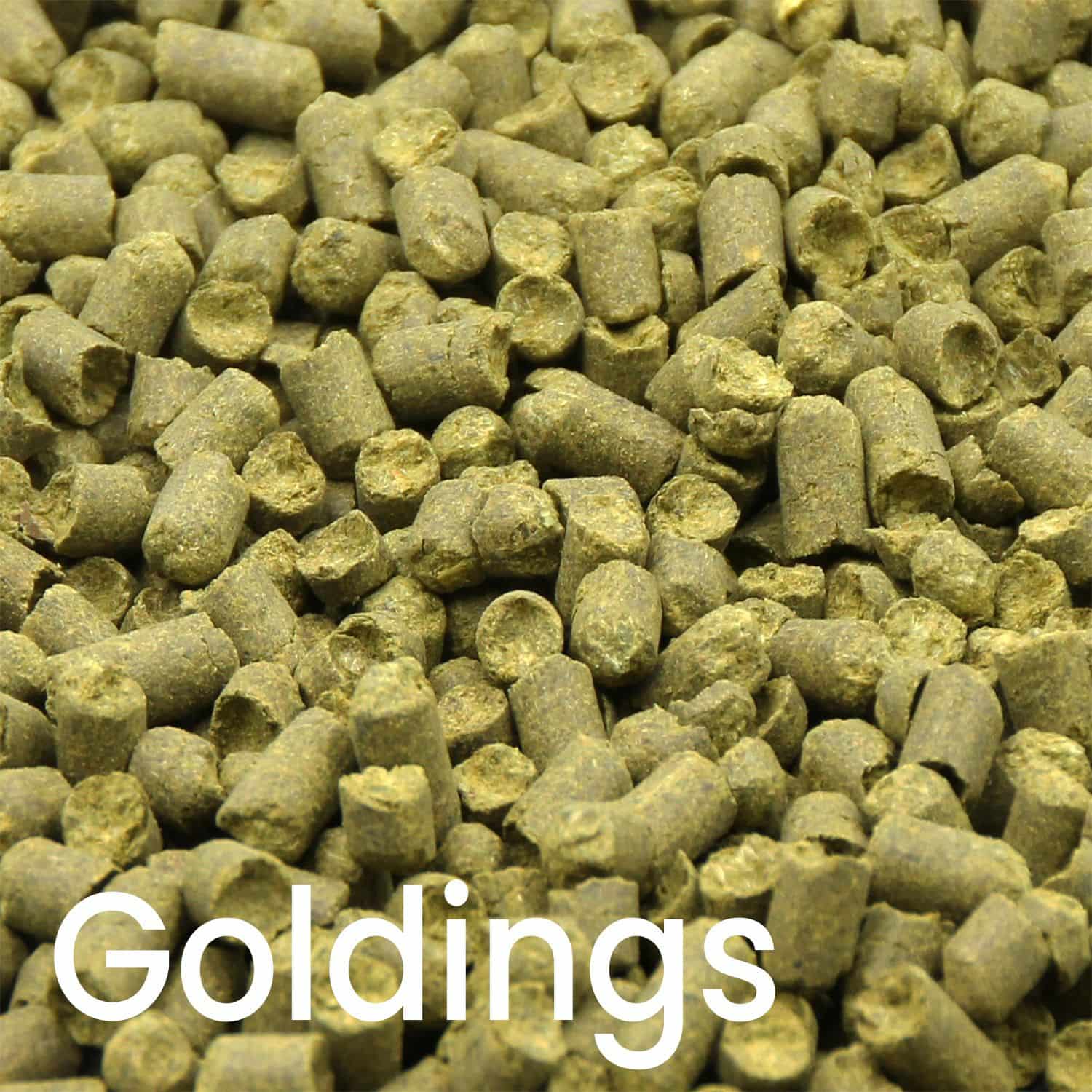 Goldings Hopfenpellets