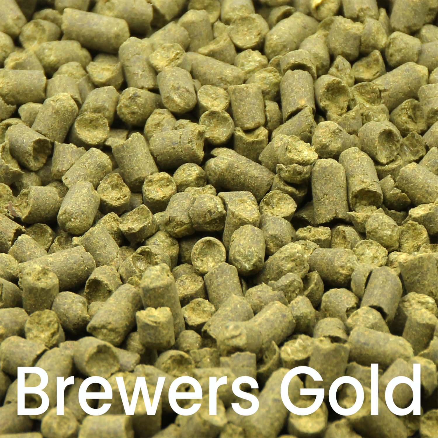Brewers Gold Hopfenpellets