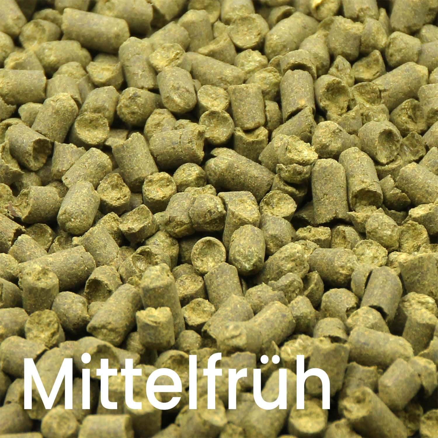 Hallertauer Mittelfrüh Hopfenpellets