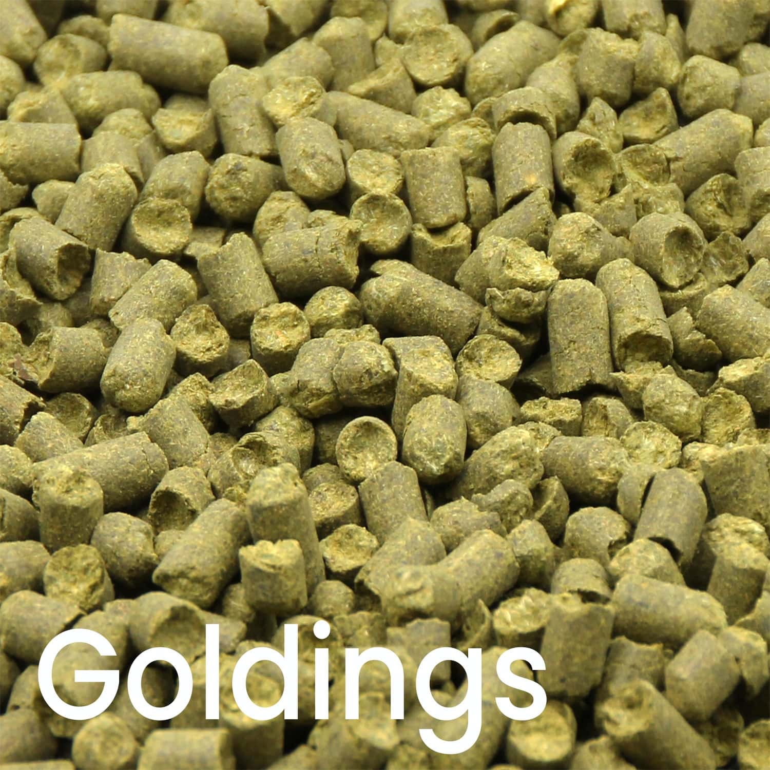 Goldings Hopfenpellets