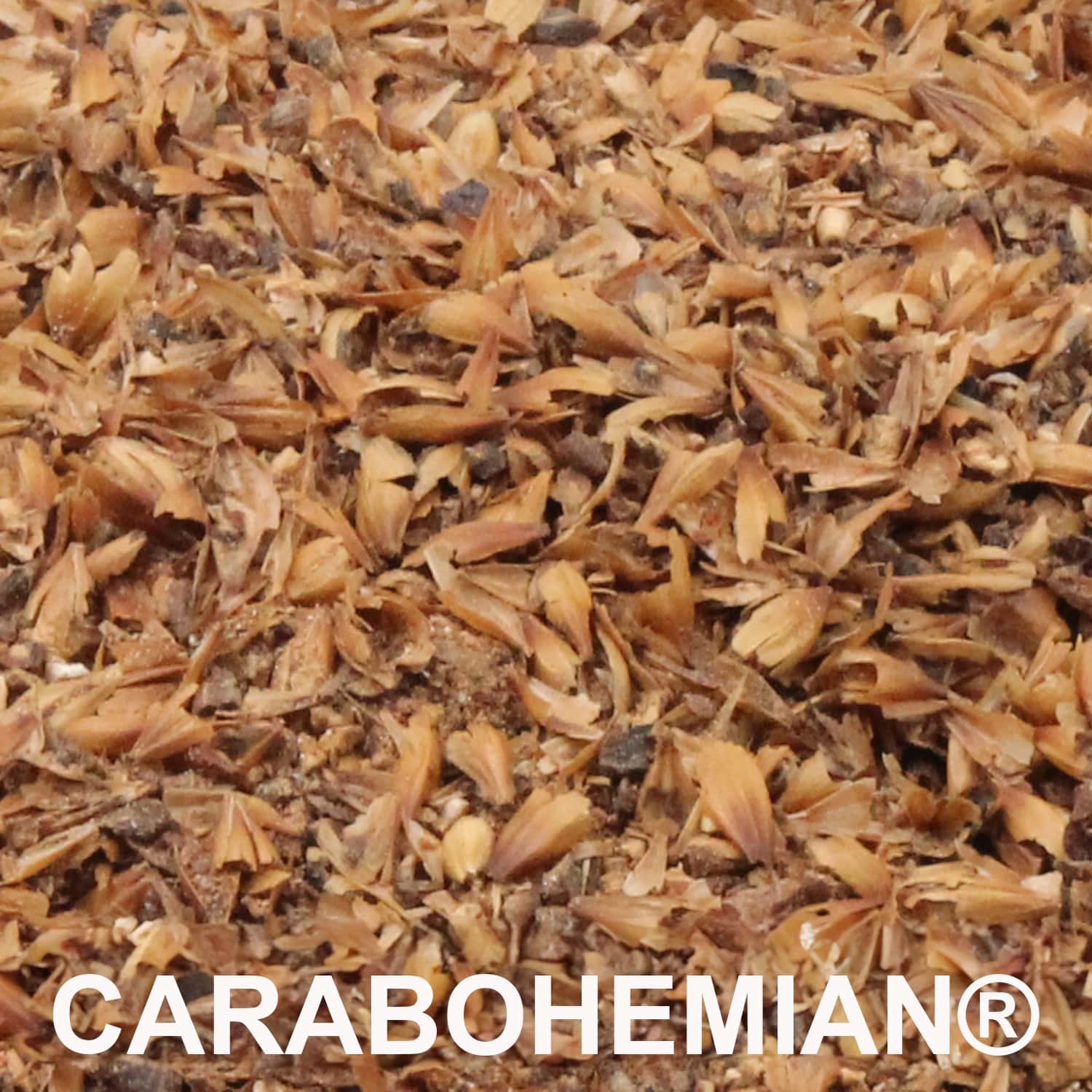 CARABOHEMIAN® Malz geschrotet_1