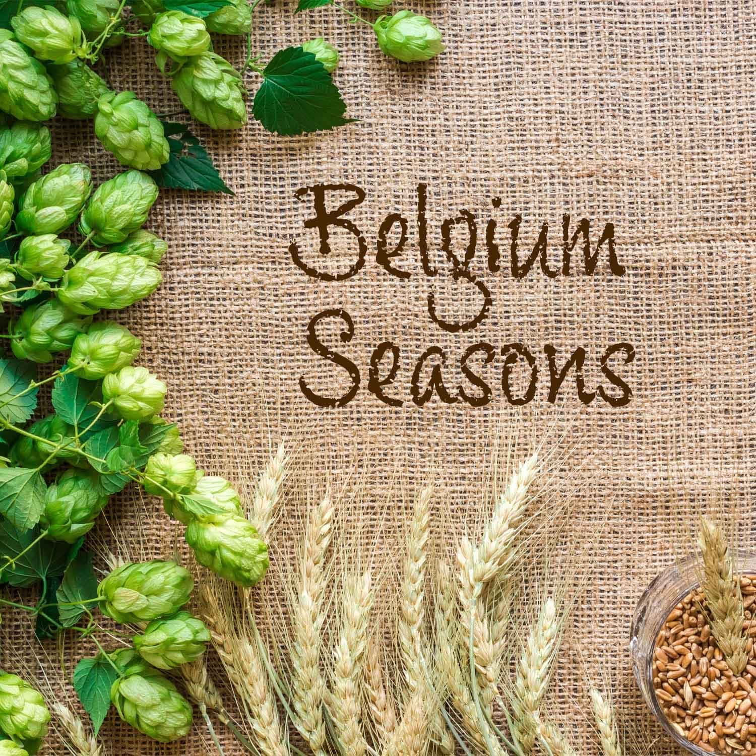 Fertigmischung BELGIUM SEASONS 30 Liter, geschrotet