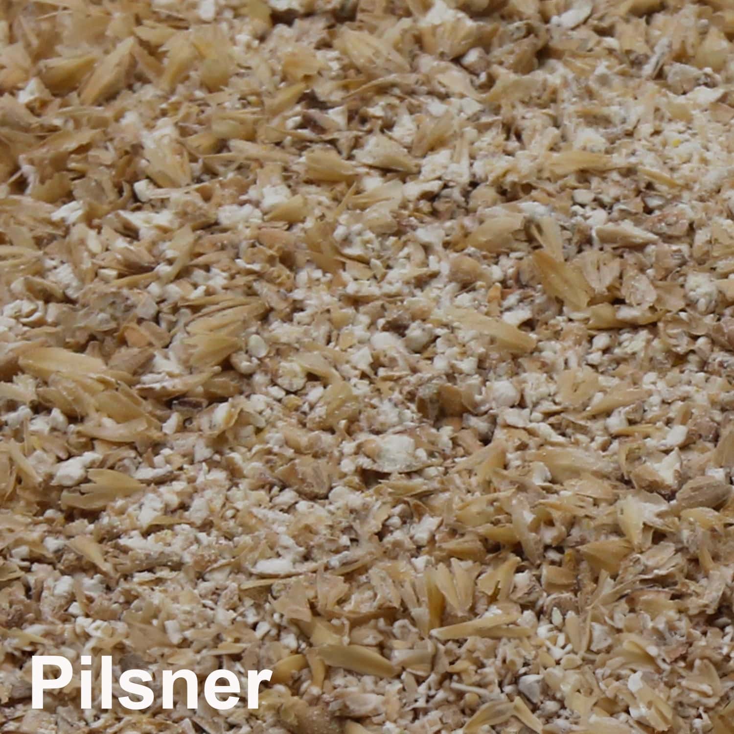 Pilsner Malz geschrotet
