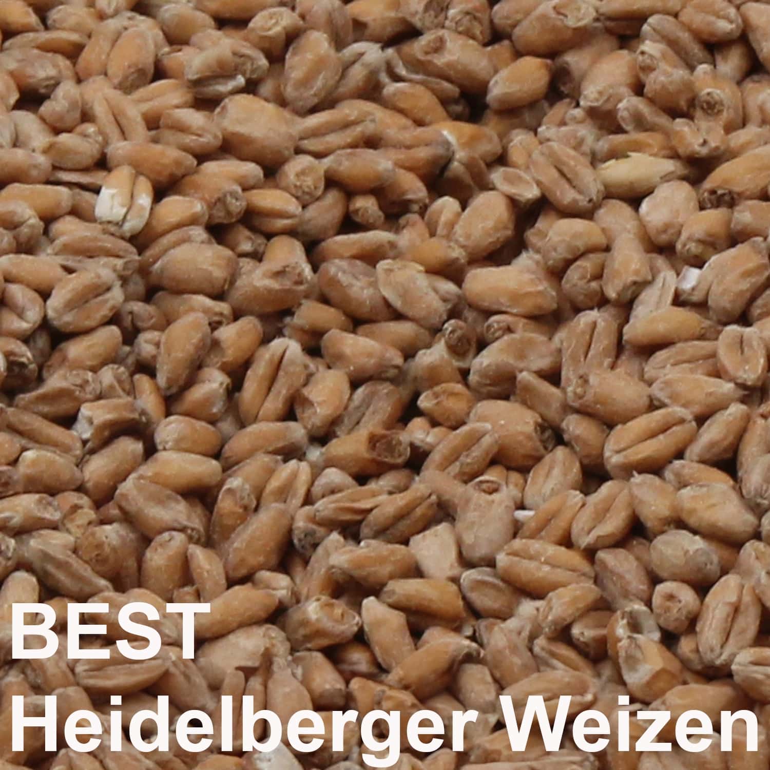 BEST Heidelberger Weizenmalz ungeschrotet