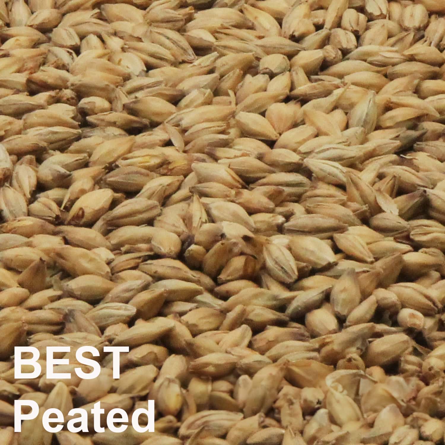 BEST Peated Malz ungeschrotet