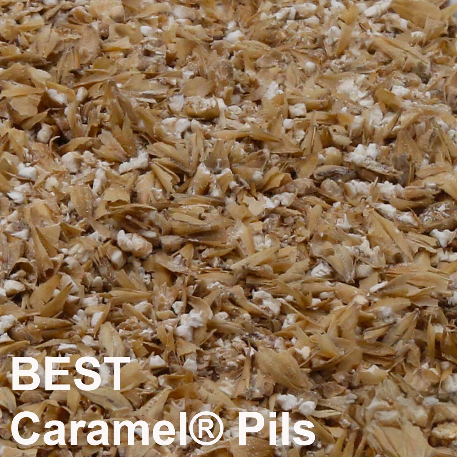 BEST Caramel® Pils Malz geschrotet