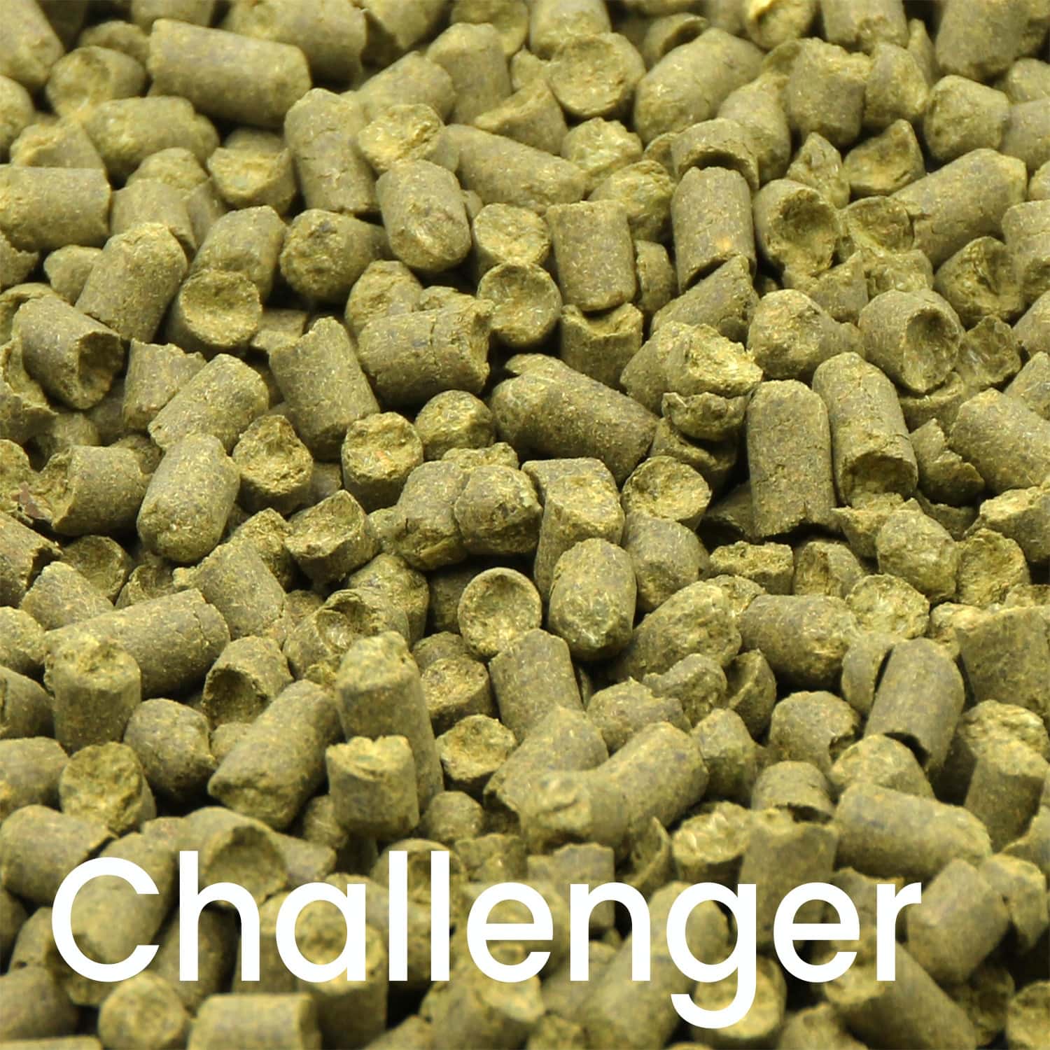 Challenger Hopfenpellets