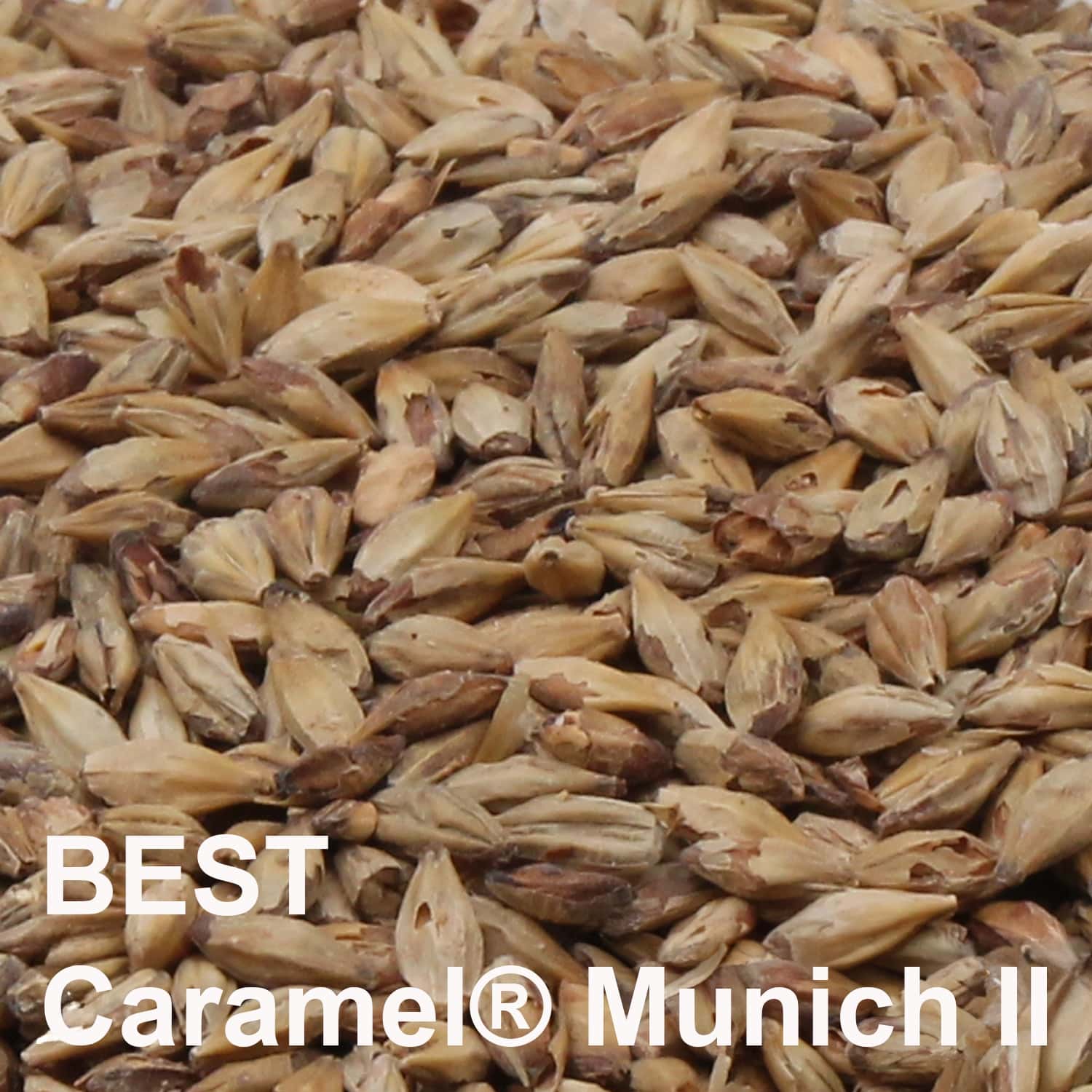 BEST Caramel® Munich II Malz ungeschrotet