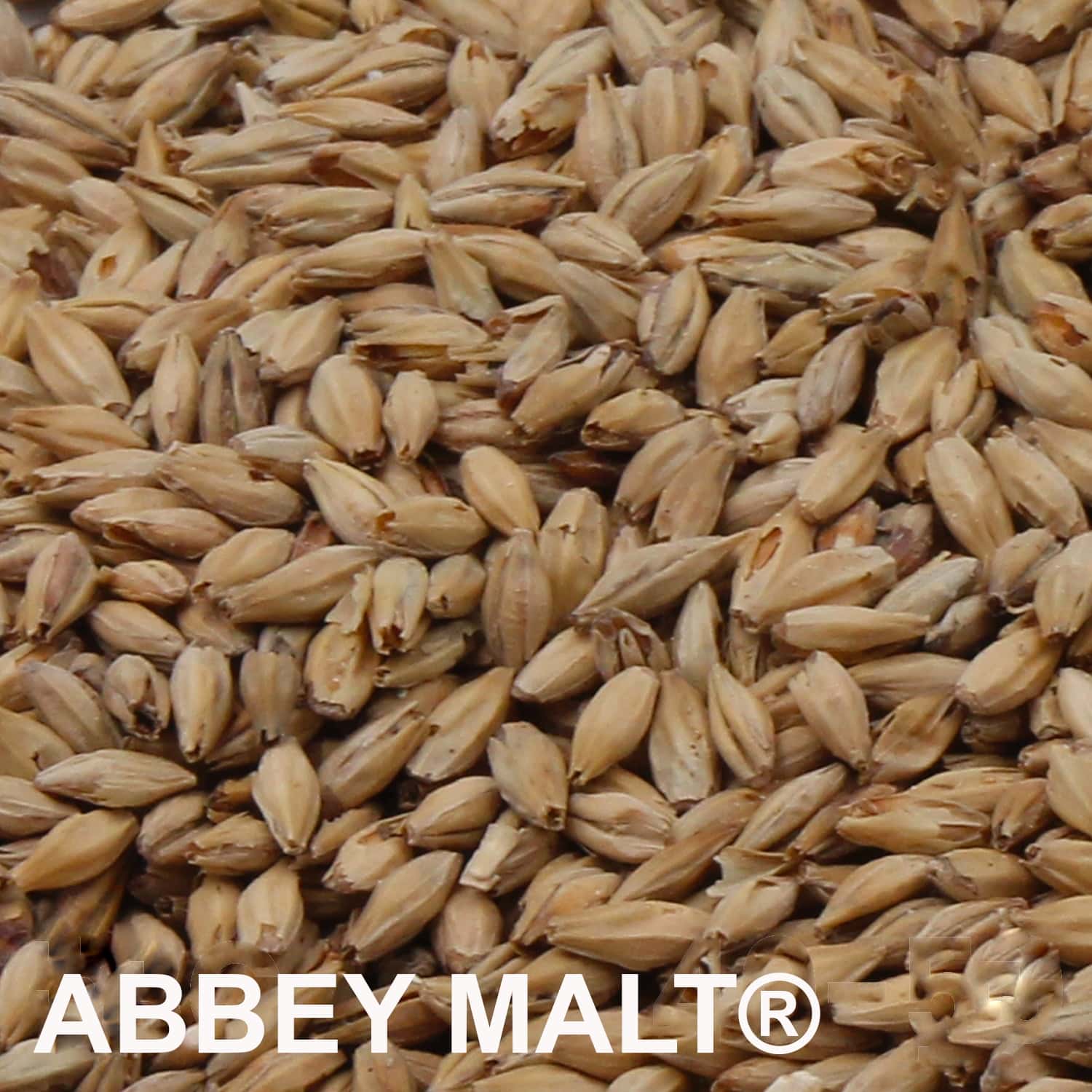 ABBEY MALT® Malz ungeschrotet