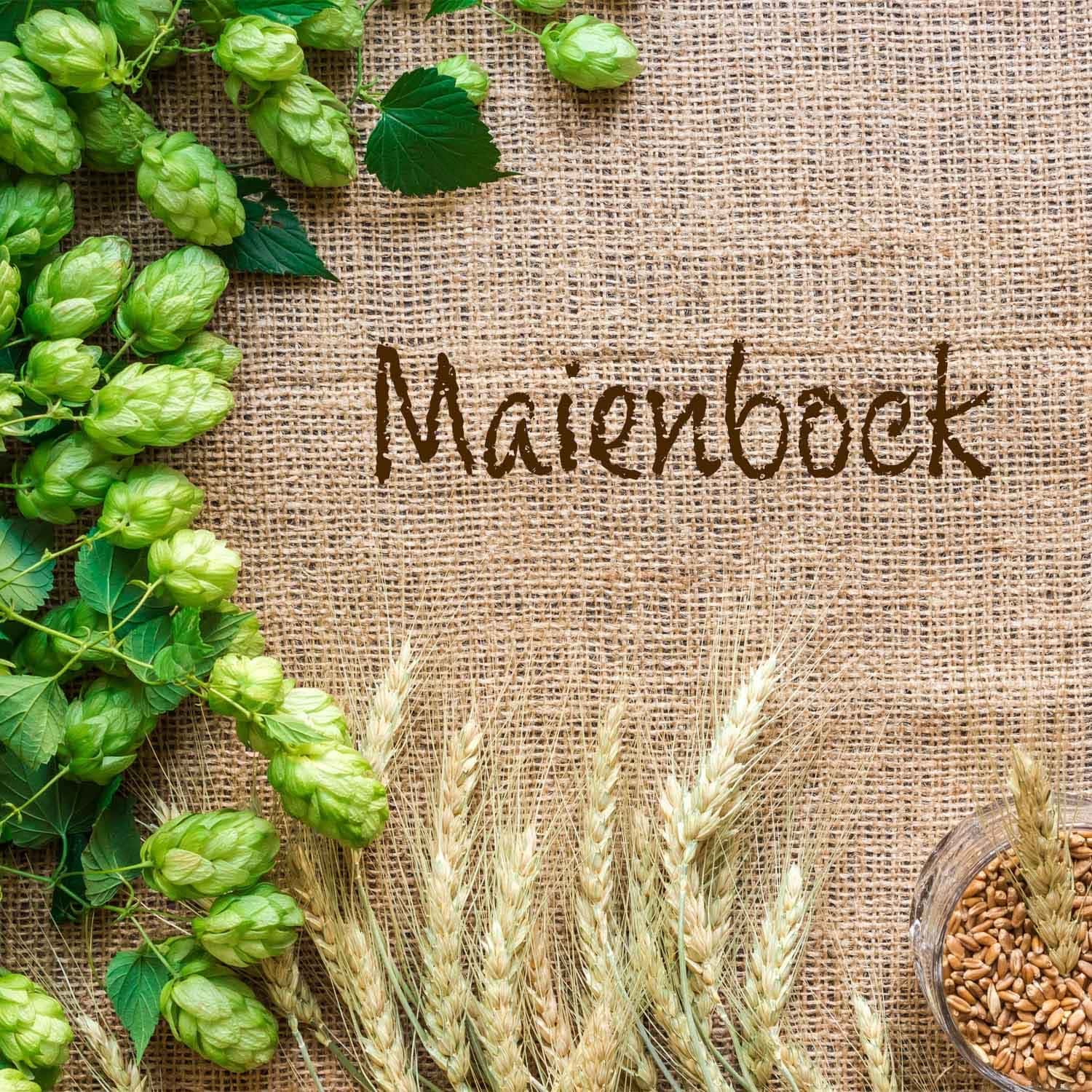 Fertigmischung MAIENBOCK 50 Liter, geschrotet_1