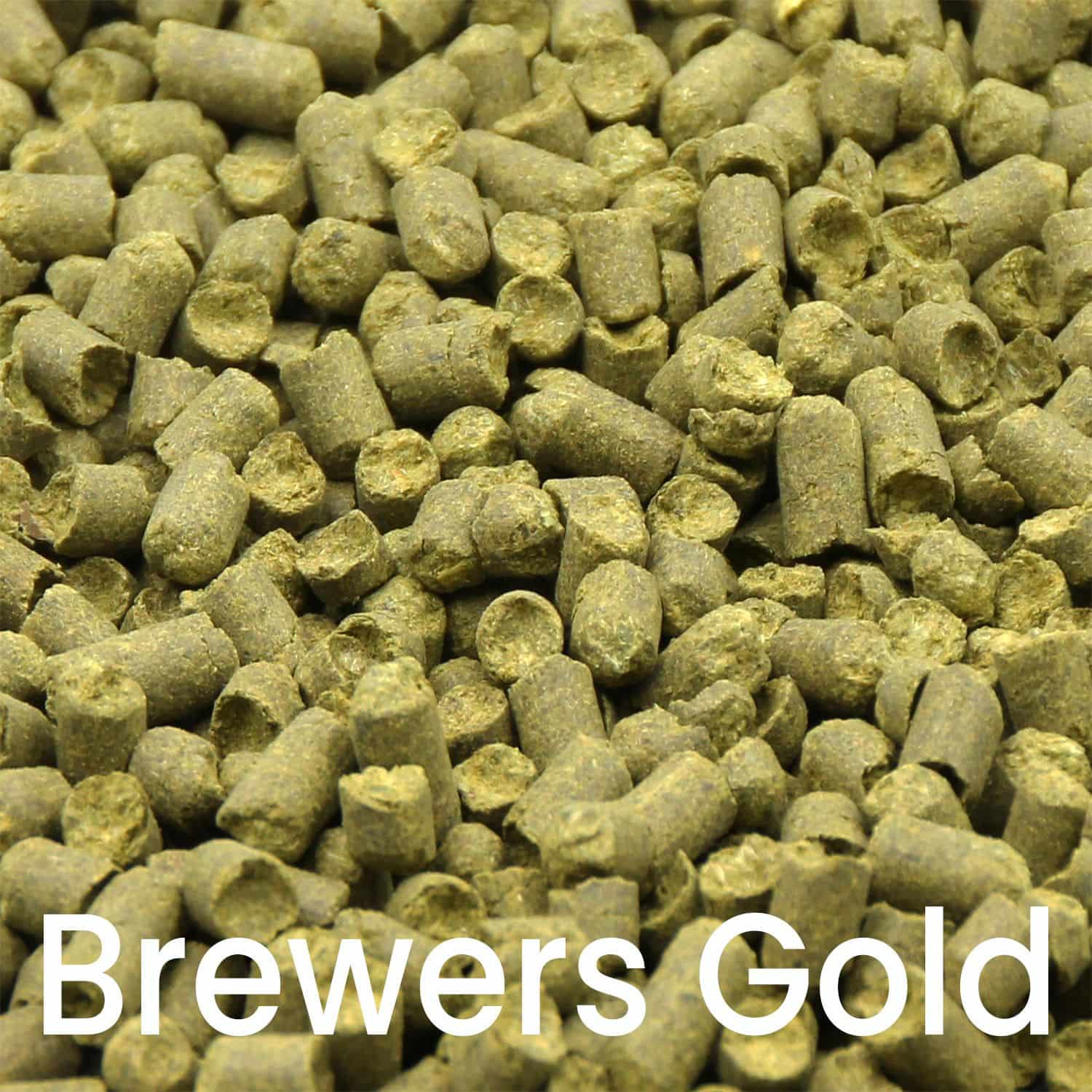 Brewers Gold Hopfenpellets
