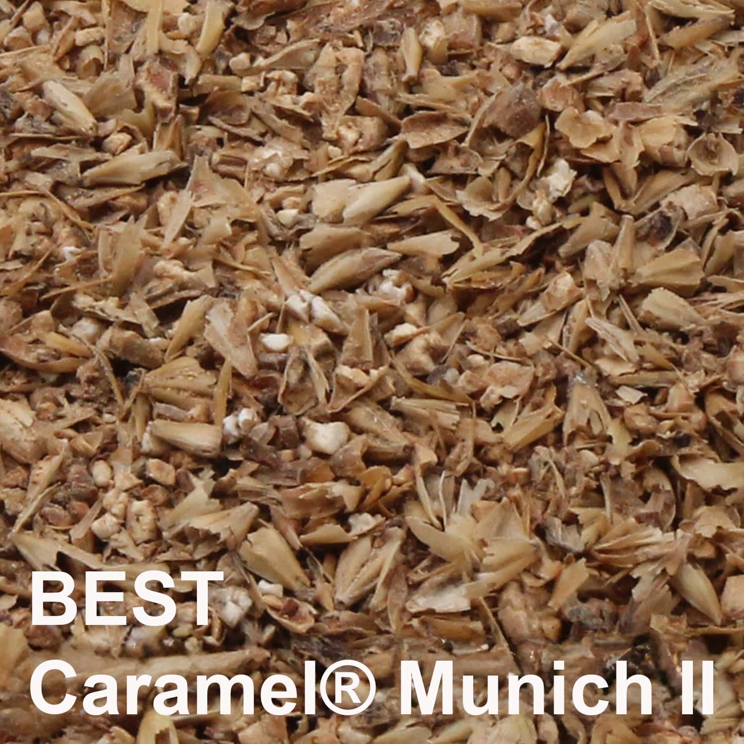 BEST Caramel® Munich II Malz geschrotet