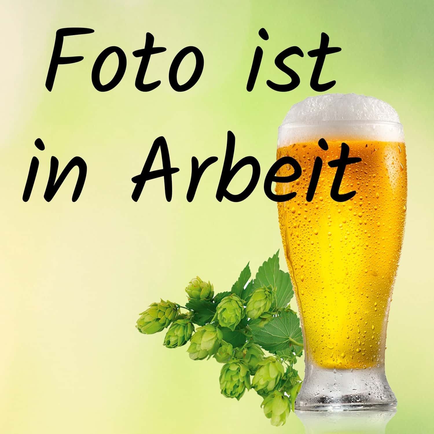 Bierzwickelspirale Edelstahl_1